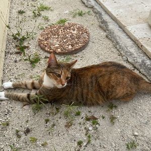 Meet your Posher, Mariana